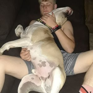 Meet your Posher, Dillon